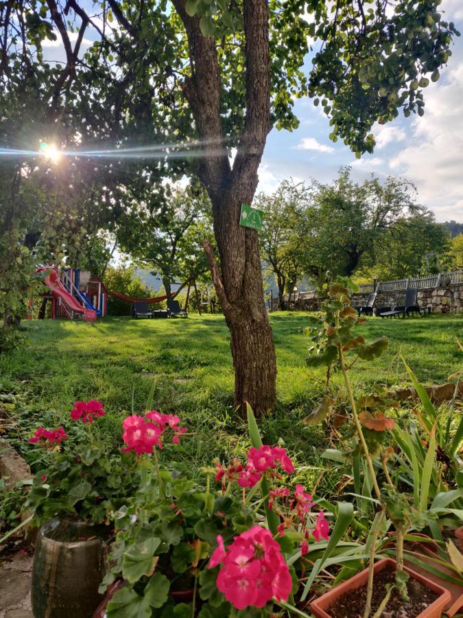 Старата Къща - Трявна Villa Bagian luar foto