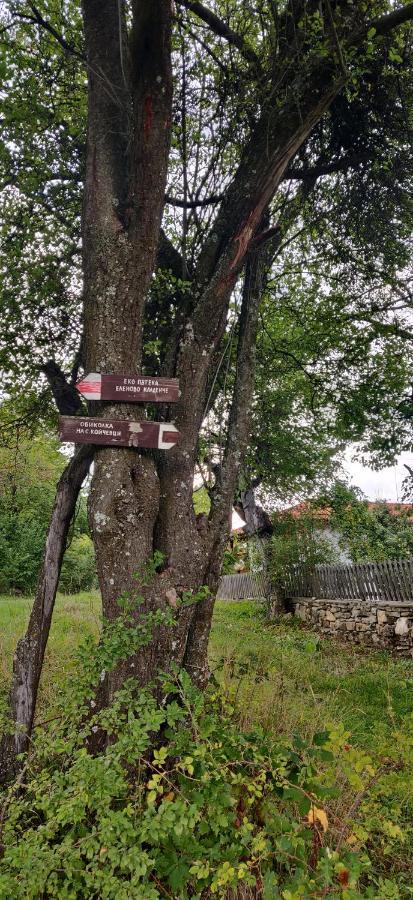 Старата Къща - Трявна Villa Bagian luar foto