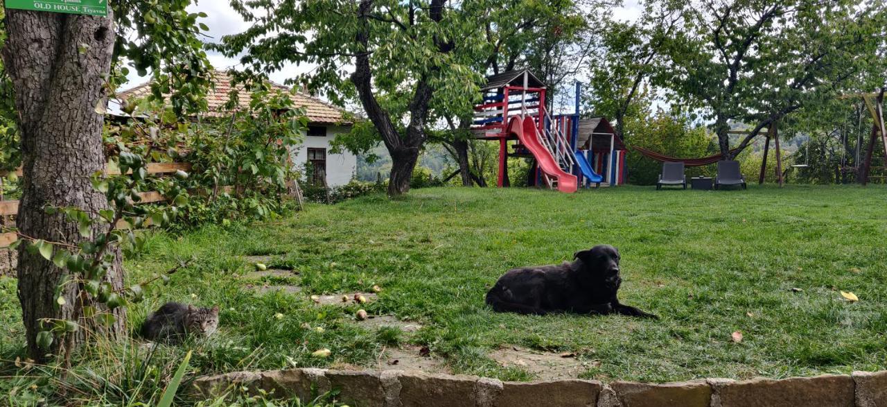 Старата Къща - Трявна Villa Bagian luar foto